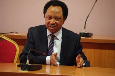 shehu-sani-400×266