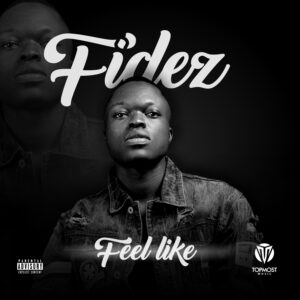 Fidez-Feellike-300×300