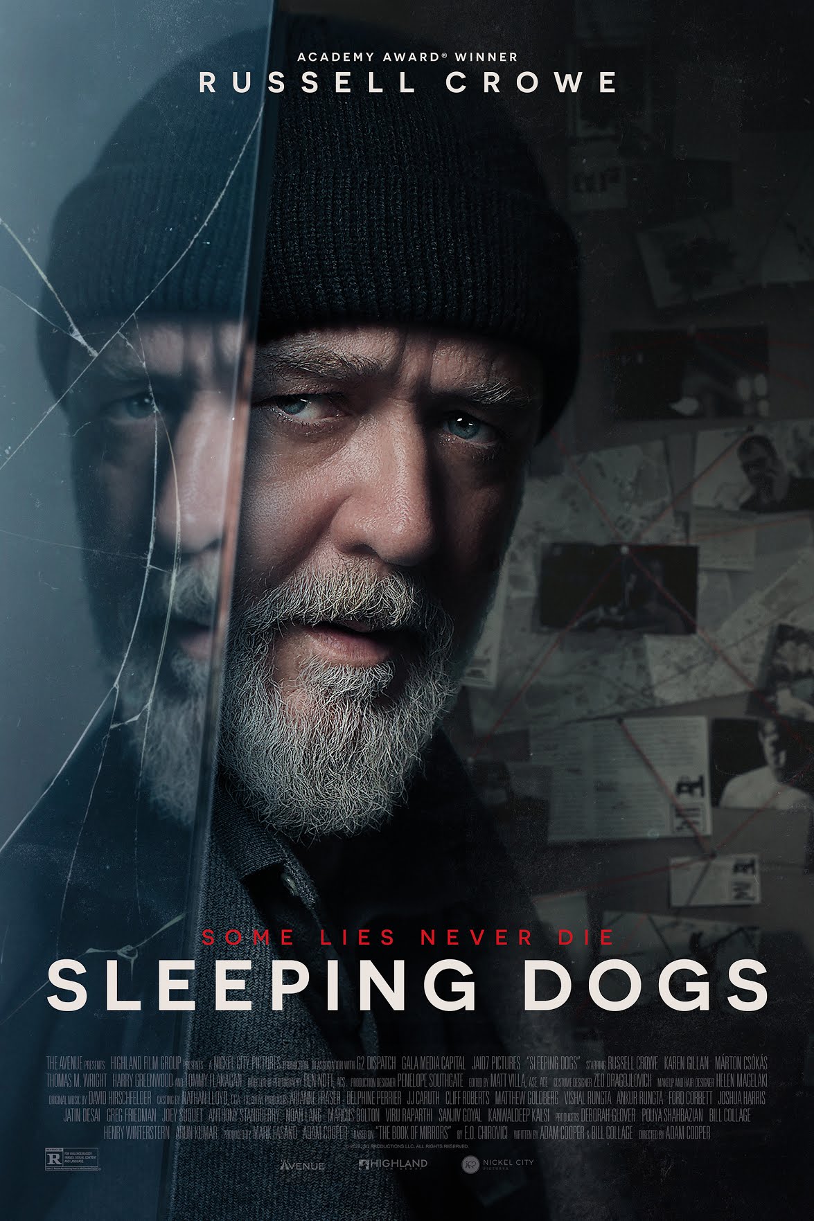 Sleeping Dogs (2024)