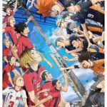 HAIKYU The Dumpster Battle